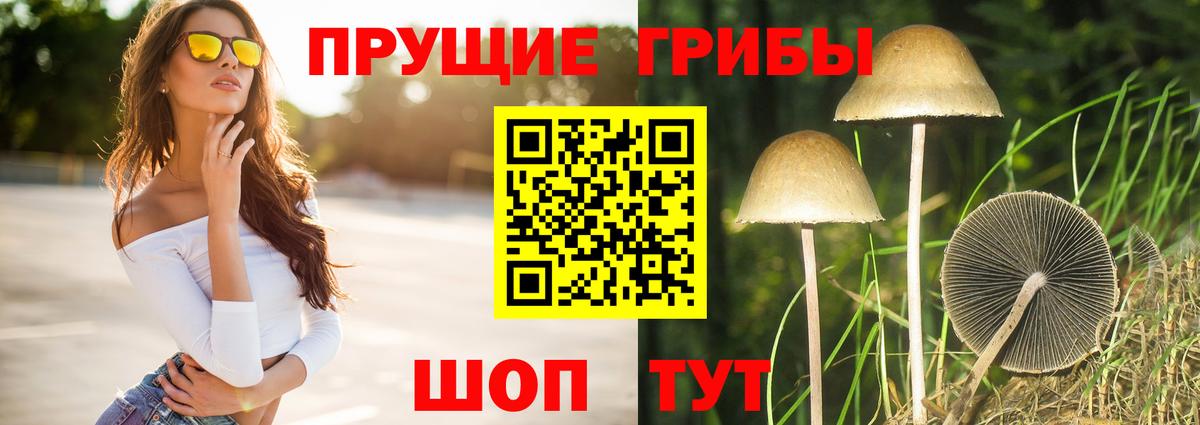 хочу наркоту  Галлюциногенные грибы MAGIC MUSHROOMS  Галлюциногенные грибы Psilocybe  Вход с VPN  Гатчина 